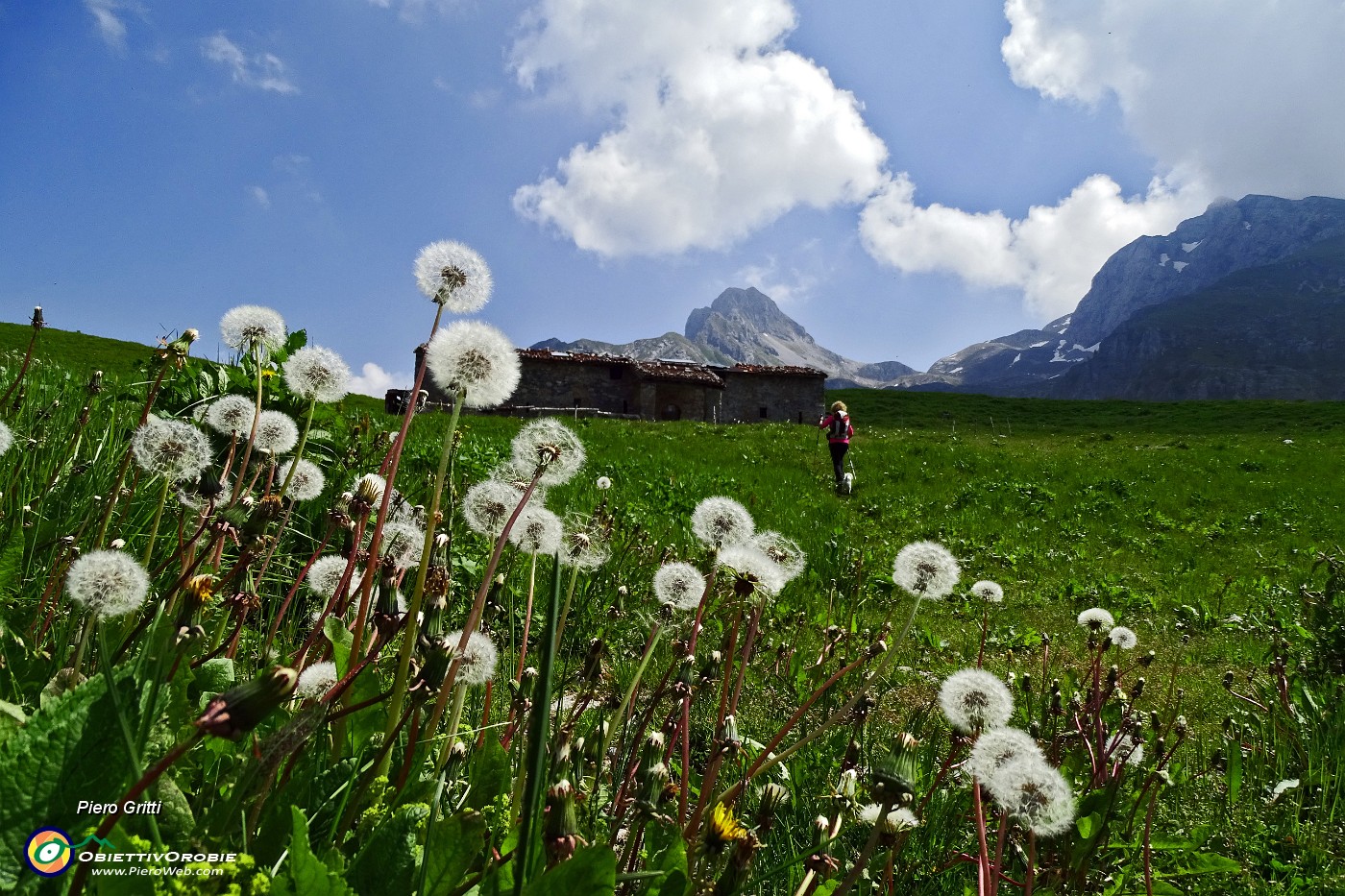 35 Baita Zuccone (1686 m) , Corna Piana (2302 m) ed Arera (2512 m).JPG -                                